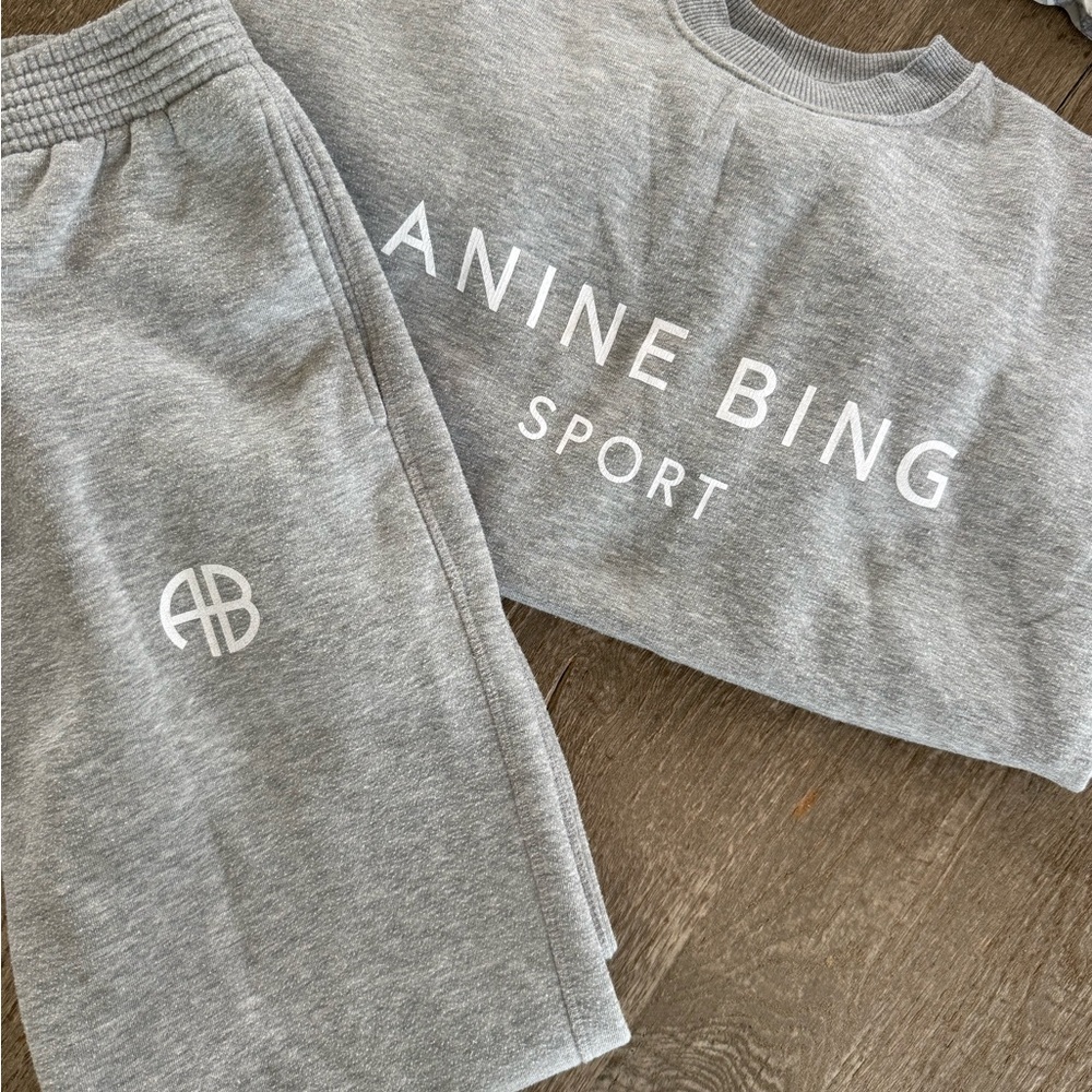 Anine Bing Sport Heather Gray Sweat Set
